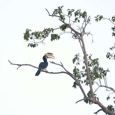 Pelican View Cottages Катарагама Екстер'єр фото