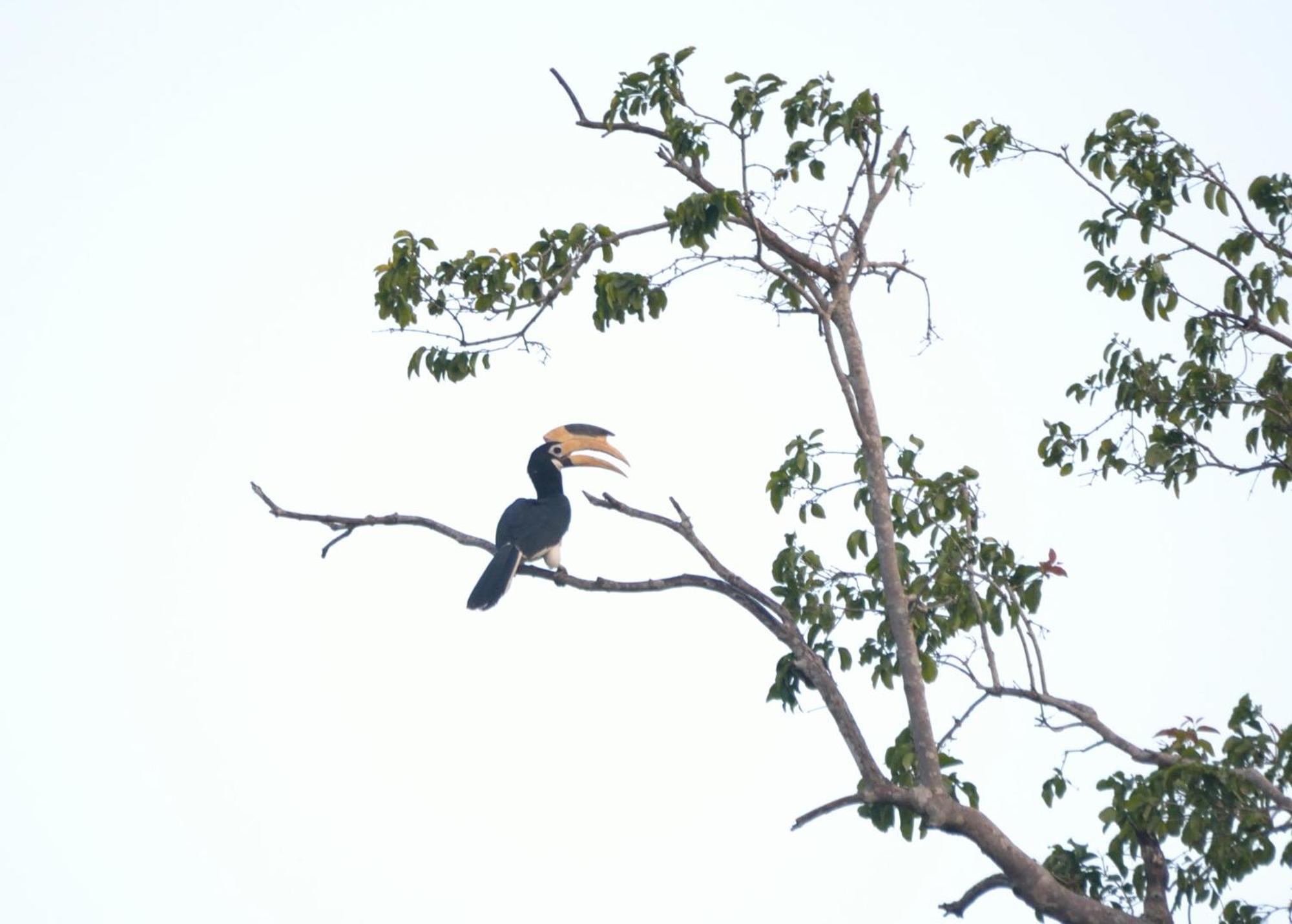 Pelican View Cottages Катарагама Екстер'єр фото